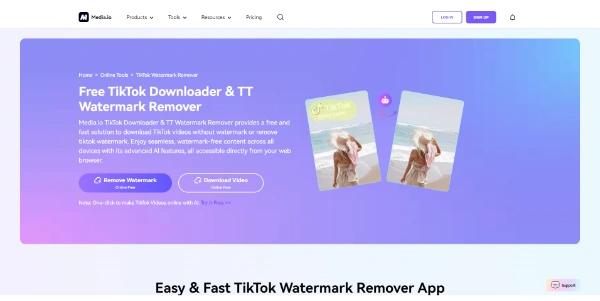 TikTok Watermark Remover AI