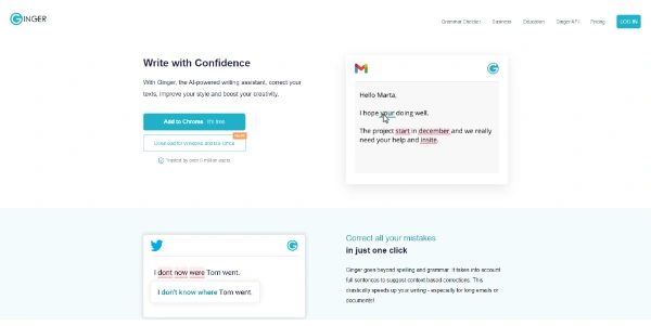 Ginger AI Software