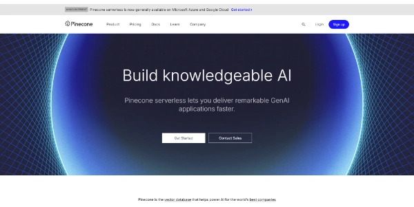 Pinecone AI Database
