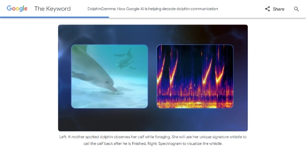 DolphinGemma AI Model