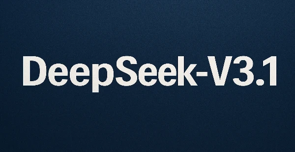 DeepSeek-V3.1 LLM Model
