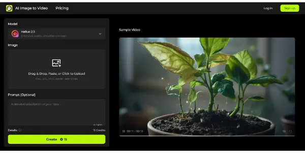 AI Image To Video Generator
