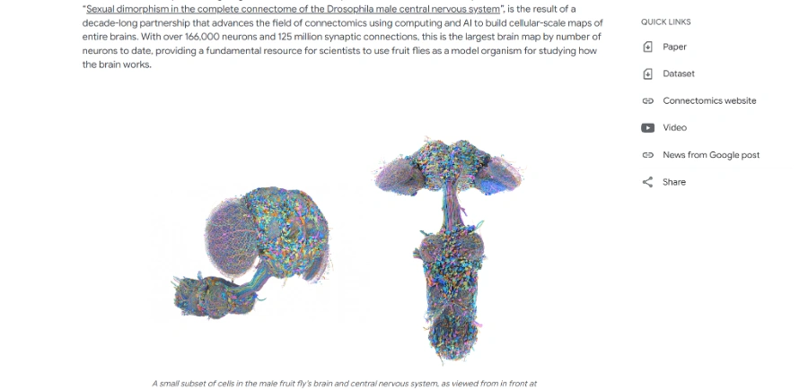 MaleCNS Connectome Fly Brain (Google & Janelia)