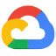 Google Skills icône
