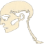 Humanizer-AI-Text icon