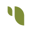 Sesame CSM 1B icon